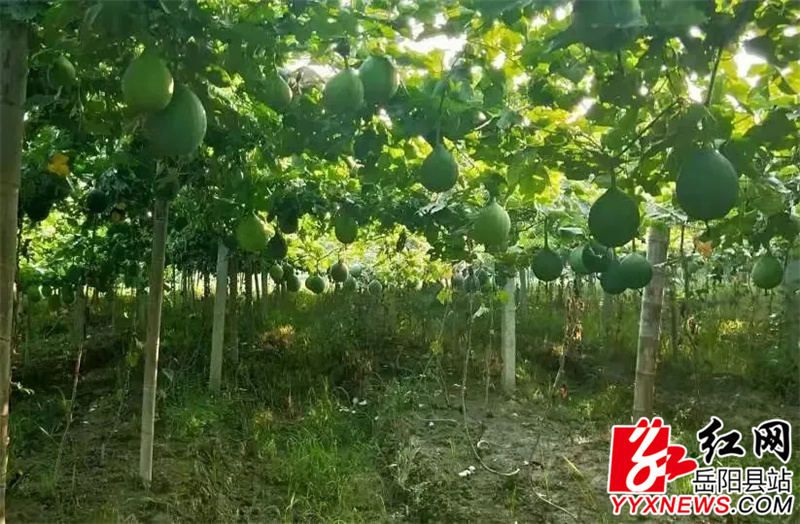 8416a1dbb7fa9d5a16e947082b5471cd.jpg 8416a1dbb7fa9d5a16e947082b5471cd.jpg