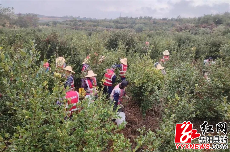 9057deab6cf4deeb08b3d24385f0589c.jpg 9057deab6cf4deeb08b3d24385f0589c.jpg