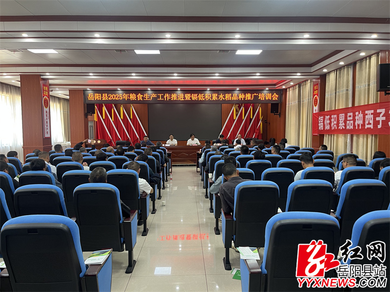 会议现场 (2) (1).jpg