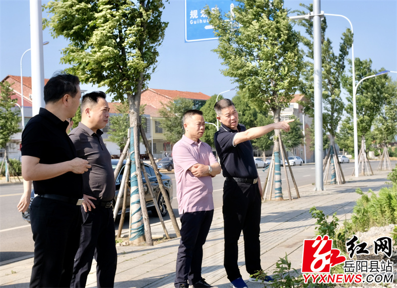 王卫兵一行在城北天鹅片区查看排水防涝建设项目.jpg
