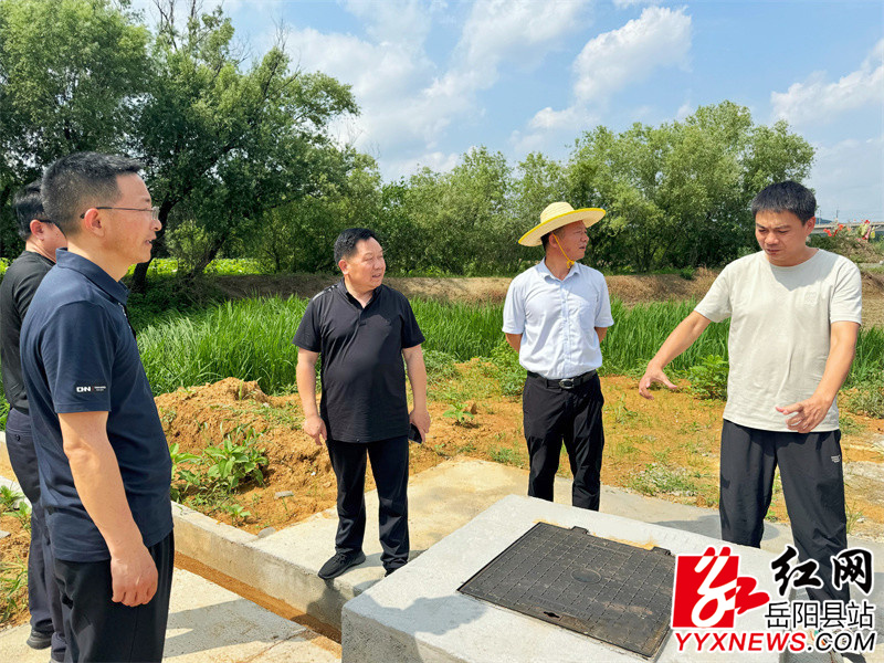 在新河垸察看应急除险工程_proc.jpg