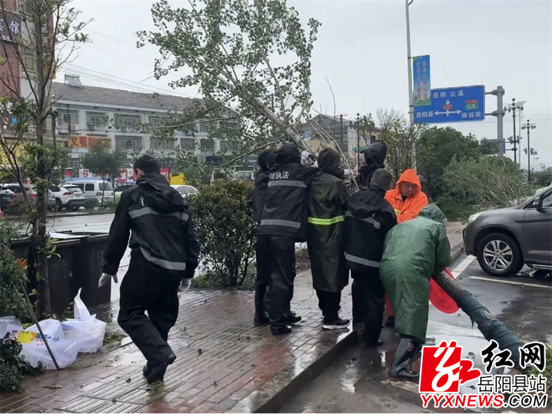 微信图片_20250508170026.jpg