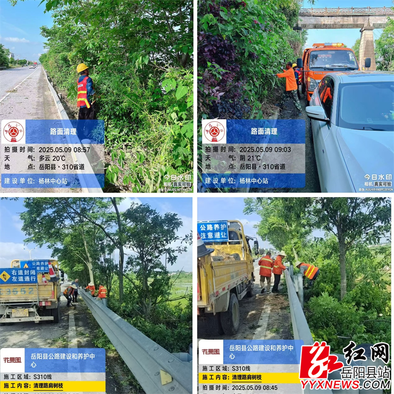 图片6 (1).png
