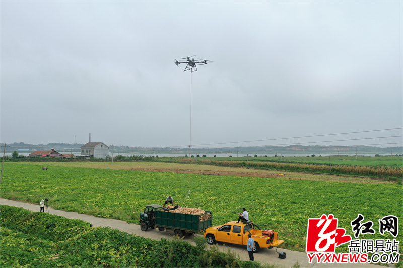 DJI_0421.JPG