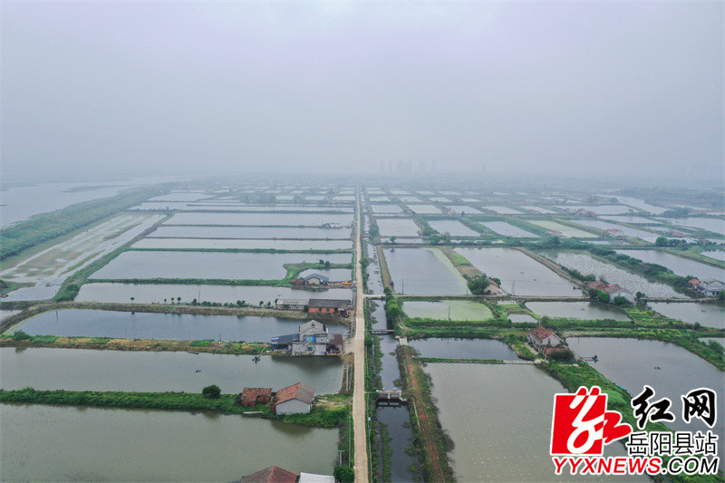 大毛家湖渔场.jpg