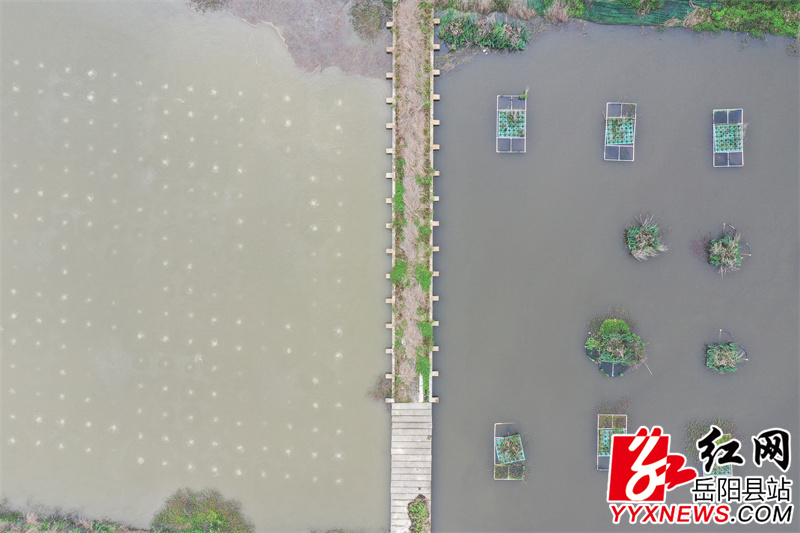尾水治理前后对比.jpg