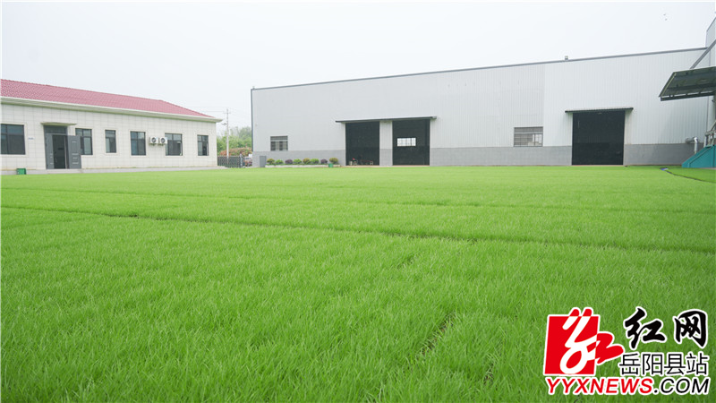 b0f9097ac6ae1b8b56b3627866aed0f8.jpg b0f9097ac6ae1b8b56b3627866aed0f8.jpg