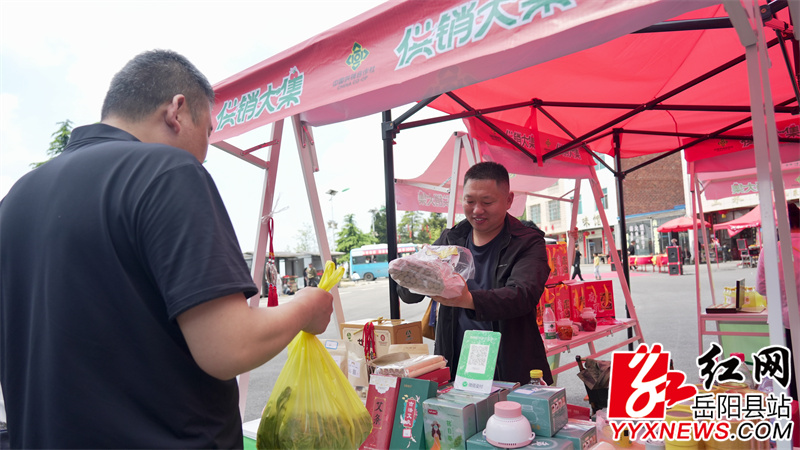 本土特色农产品展销会人气高涨.jpg