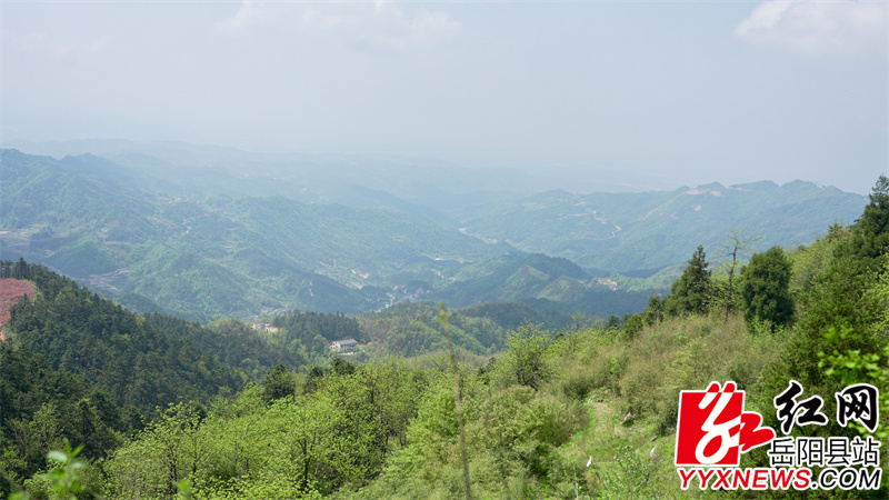 风景秀丽的大云山国家森林公园.jpg
