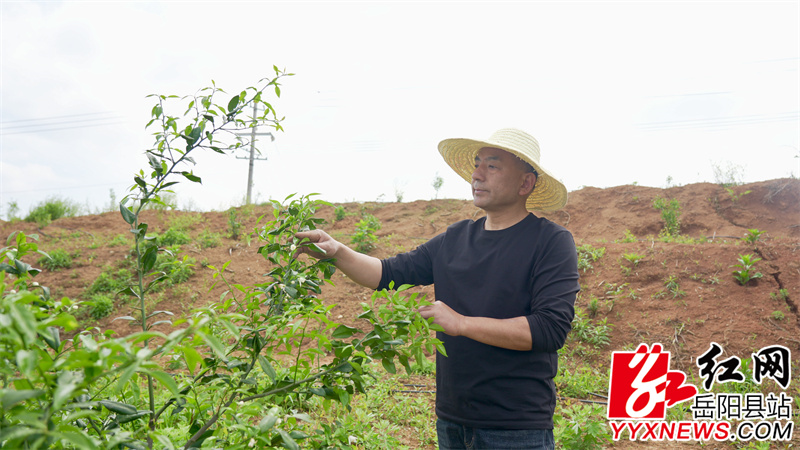种植户 任飞翔.jpg