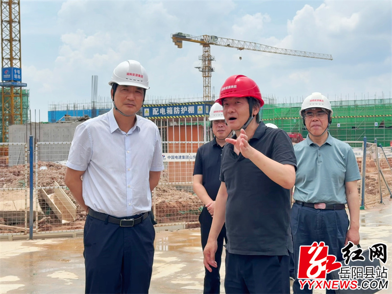 调研岳阳岳州2x100万千瓦燃煤发电工程项目.JPG
