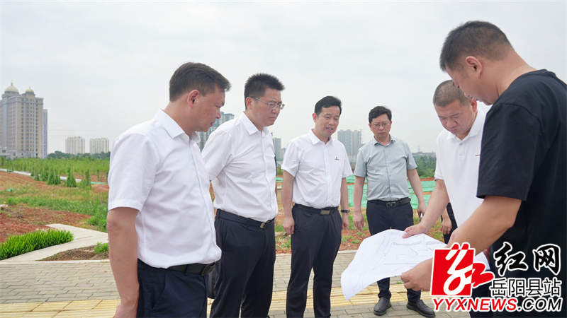 肖湘晖一行在荣湾湖西片区调研开发建设有关情况.jpg