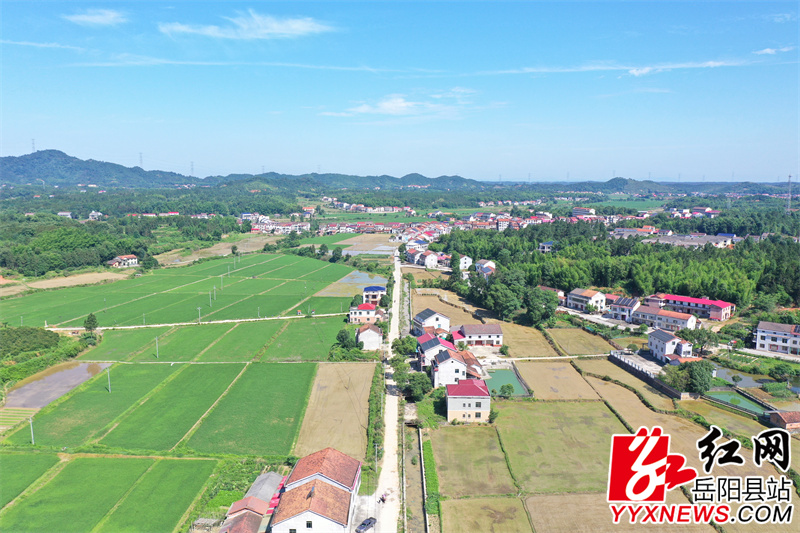 C467凤凰村段.JPG