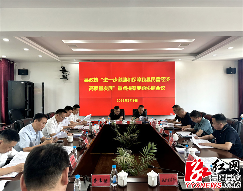 会议大景 (2).jpg 会议大景 (2).jpg
