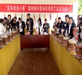 龙潭镇举办第三届“庆丰收迎小康” 文化旅游节