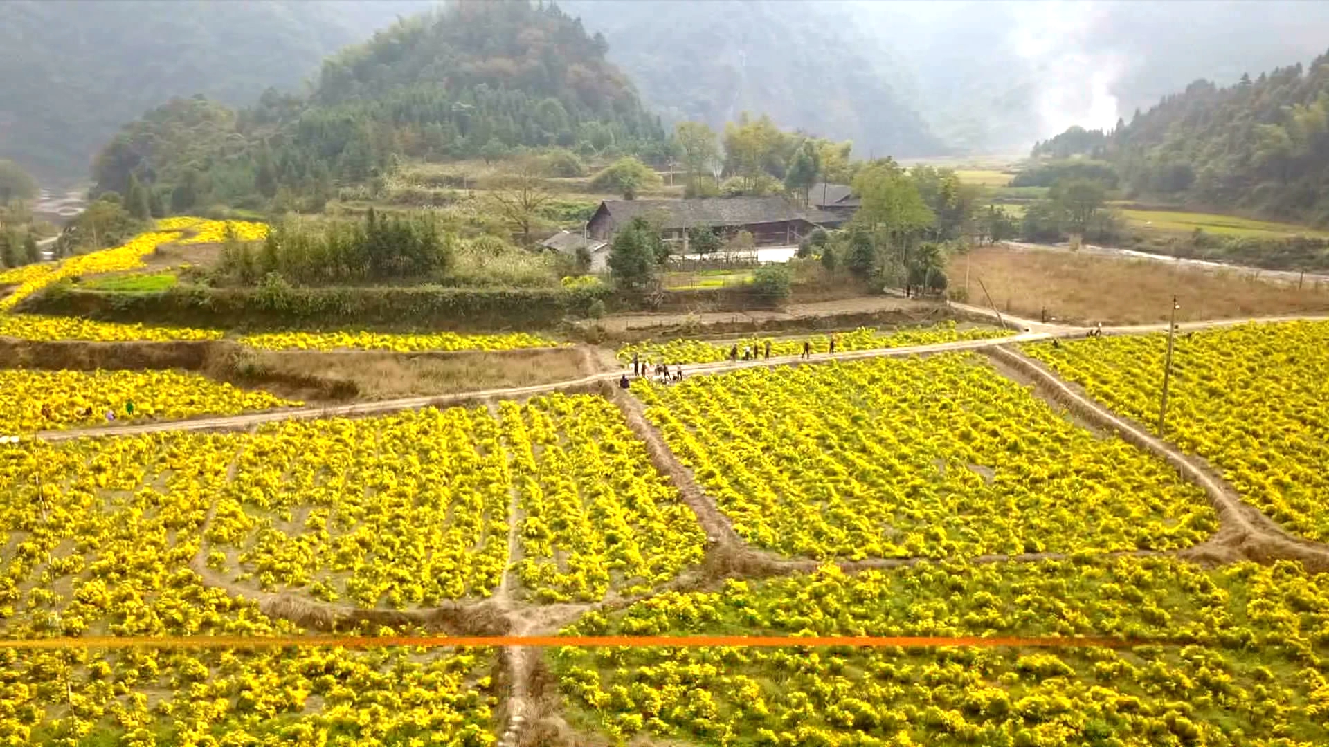 微信图片_20200331171728.jpg 微信图片_20200331171728.jpg