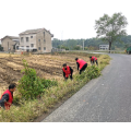 架桥镇：整治人居环境 助推乡村振兴