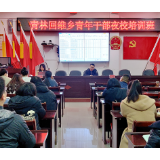 青林回维乡：“青年夜校”搭平台 正是芳华促成才