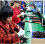 理公港镇：基层党建引领 助推乡村振兴