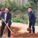 桃源县委书记庞波等领导参加义务植树活动