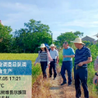 国家统计局湖南调查总队来桃源开展粮食种植面积检查