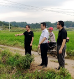 理公港镇：干群合力携手抗旱