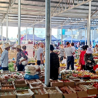 泥窝潭乡:打好壮大集体经济牌