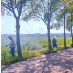 枫树维回乡：整治人居环境，擦亮乡村振兴底色