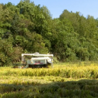 巾帼新农人刘登华：用双脚丈量土地的温度