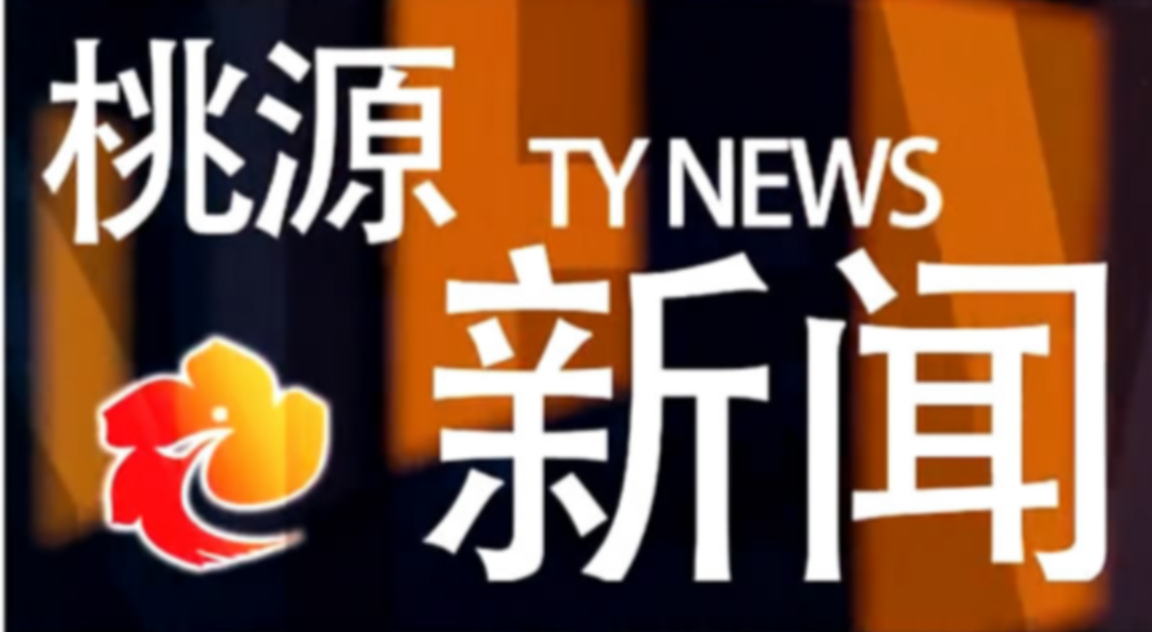 视频：20241008桃源新闻