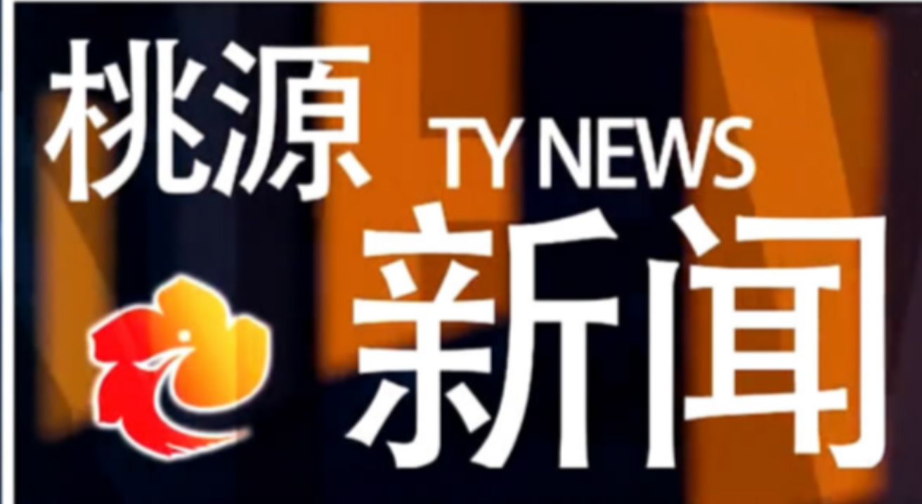 视频：20241009桃源新闻