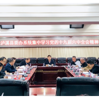 泸溪县委办系统传达学习党的十九届六中全会精神