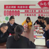 邓建军到解放岩乡调研指导乡村振兴工作