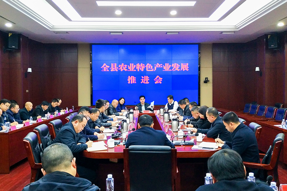 推进会-小.jpg
