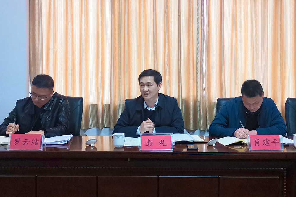 彭礼调研医药卫生体制改革工作