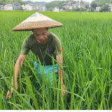 百名记者看百年巨变丨泸溪兰村：产业催开幸福花