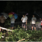 迎战强降雨丨泸溪县解放岩乡紧急转移地灾点受灾群众 确保“不漏一户，不少一人”