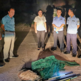 禁捕退捕在行动丨达岚镇：夜幕下护鱼在行动