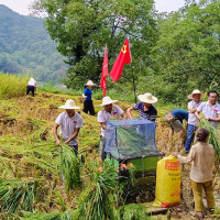 兴隆场镇:秋收时节党旗飘 助农收割暖民心