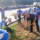 泸溪思源实验学校：金秋时节  劳动实践基地种蒜忙