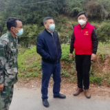 陈明灯到达岚镇调度指导疫情防控工作