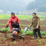 解放岩乡:种烟致富,“土庄稼”变成“土专家”