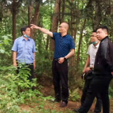 泸溪县人民医院到达岚坪社区召开院坝会