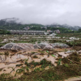 多次暴雨洪涝灾害致泸溪农业受灾严重