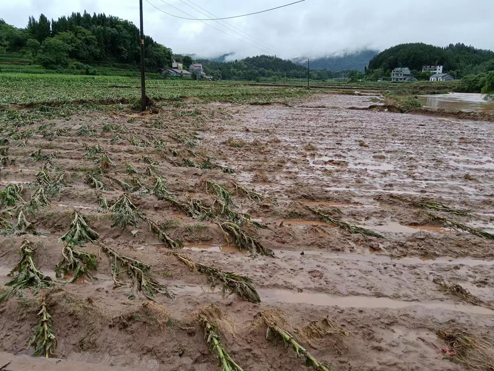 微信图片_20220604114250.jpg