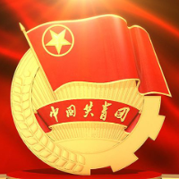 共青团泸溪县第二十一次代表大会召开