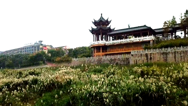 河长制 (13).jpg