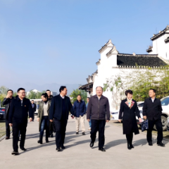 李平深入泸溪县开展非遗传承和文旅融合调研工作
