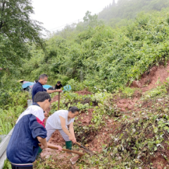 兴隆场镇：党员突击队风雨逆行 防汛救灾勇当先锋