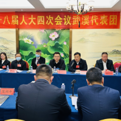 聚焦两会丨饶碧宇参加武溪、石榴坪、达岚、合水代表团讨论